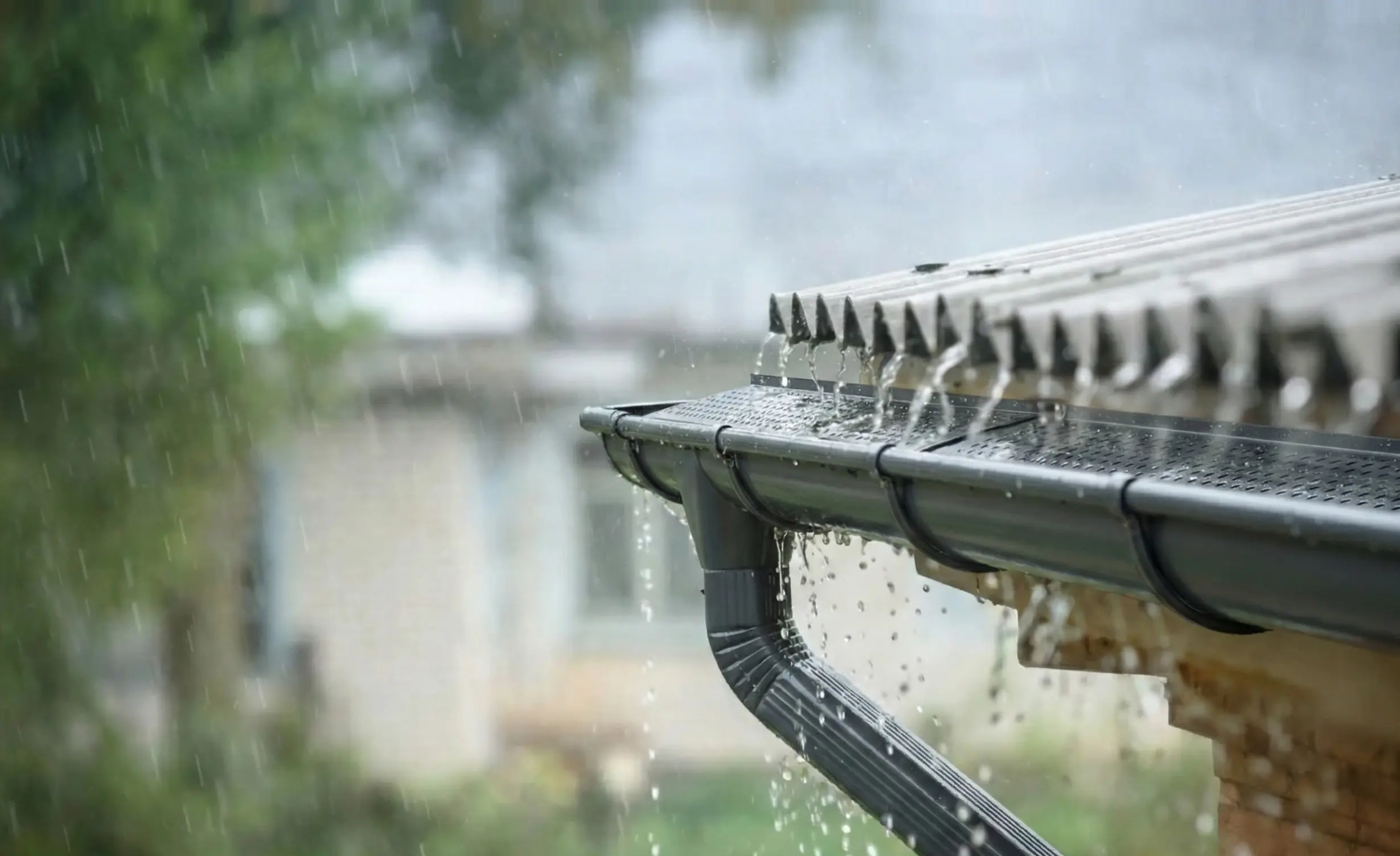 Rainwater harvesting system